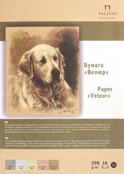 Папка с цветной бумагой, 10 листов, 5 цветов, 250*350 "Velour" (П-5221) Лилия Холдинг 
