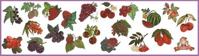 Книга: Набор наклеек "Садовые и лесные ягоды" (Н-1406); Хэппи-Ко