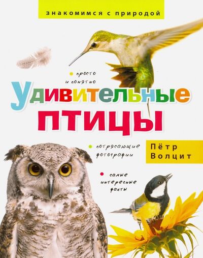 Книга: Удивительные птицы (Волцит Петр Михайлович) ; Фитон XXI, 2017 