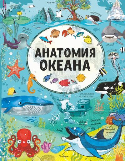 Книга: Анатомия океана (Ирина Барановская, Вайткене Любовь Дмитриевна) ; ООО 