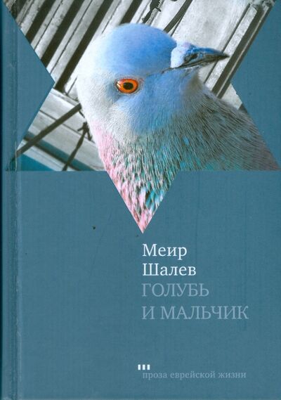 Книга: Голубь и Мальчик (Шалев Меир) ; Текст, 2010 