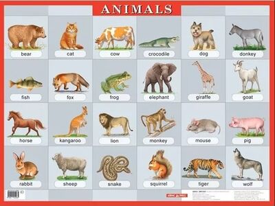 Книга: Animals Животные Наглядное пособие по английскому языку для начальной школы (Айрис Пресс) ; Айрис-пресс, 2010 