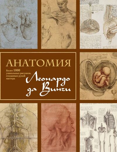 Книга: Анатомия Леонардо (Клейтон Мартин) ; Эксмо, 2017 
