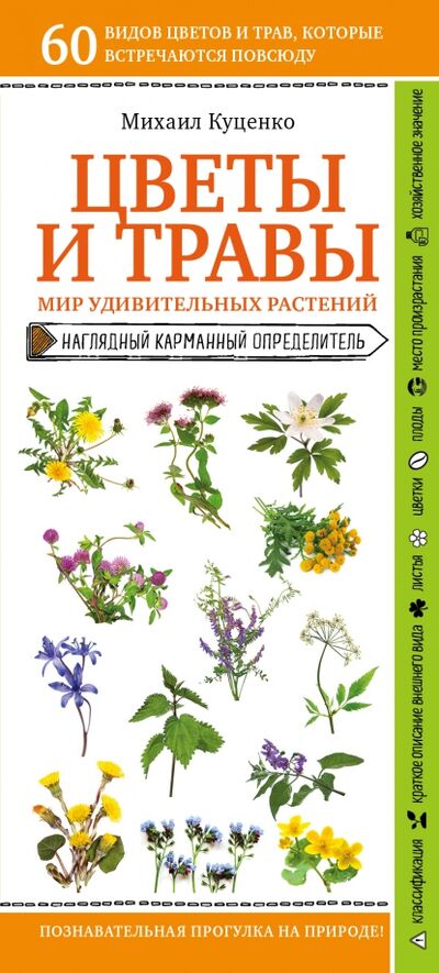 Книга: Цветы и травы. Мир удивительных растений (Куценко Михаил Евгеньевич) ; Эксмо-Пресс, 2021 