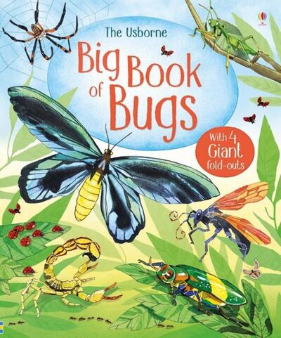 Книга: Big Book of Bugs (Bone Emily) ; Usborne