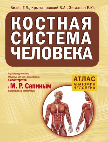 Книга: Костная система человека (Билич Габриэль Лазаревич) ; Эксмо, 2013 