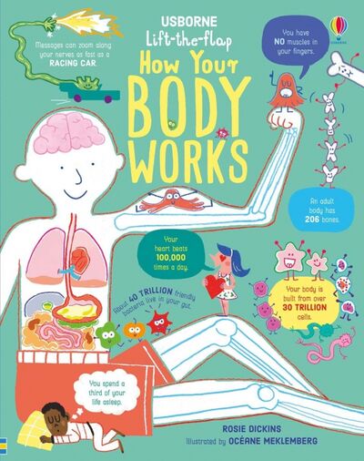Книга: How Your Body Works (Dickins Rosie) ; Usborne, 2020 