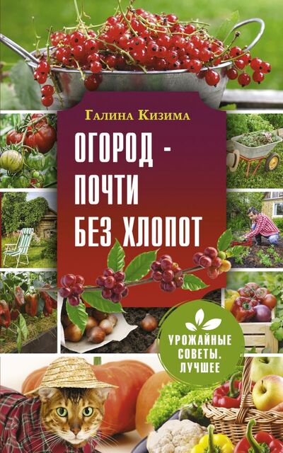 Книга: Огород - почти без хлопот (Кизима Галина Александровна) ; АСТ, 2022 