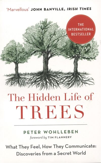Книга: The Hidden Life of Trees (Wohlleben) ; William Collins, 2017 
