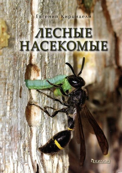 Книга: Лесные насекомые (Кирцидели Евгений Юрьевич) ; Фитон XXI, 2022 