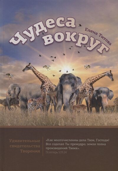 Книга: Чудеса вокруг (Титова Елена Тихоновна) ; Источник жизни, 2021 