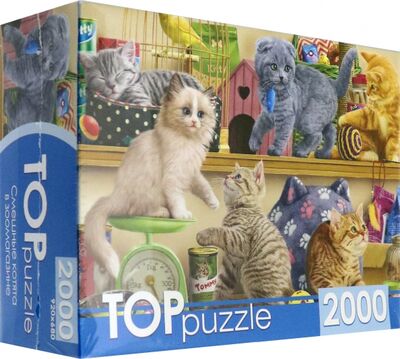 TOPpuzzle-2000 "Смешные котята" (ХТП2000-1596) Рыжий Кот 