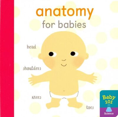 Книга: Anatomy for Babies (board book) (Litton Jonathan) ; Little, Brown and Company, 2019 