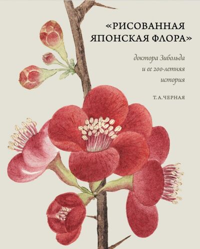 Книга: Рисованная Японская Флора доктора Зибольда и ее 200-летняя история (Черная Т. А.) ; Арка, 2020 