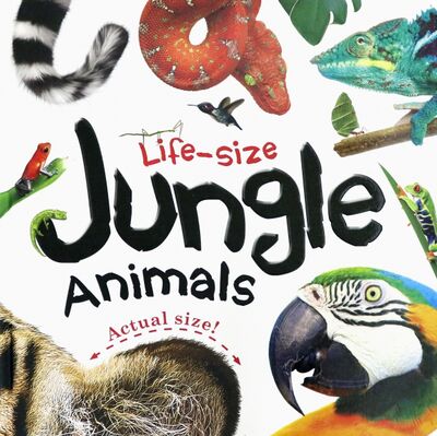 Книга: Life-size: Jungle Animals (Igloo Books) ; Igloo Books, 2018 