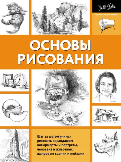Книга: Основы рисования (Степанова А.Н.) ; АСТ, 2022 