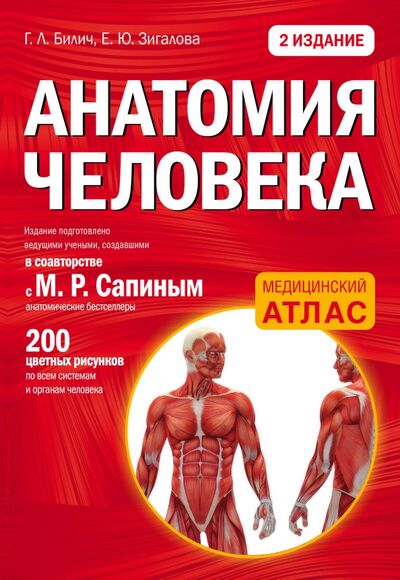 Книга: Анатомия человека (Билич Габриэль Лазаревич, Зигалова Елена Юрьевна) ; МЕДПРОФ, 2022 
