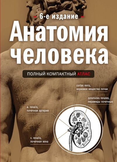 Книга: Анатомия человека. Полный компактный атлас (Боянович Юрий Владимирович) ; МЕДПРОФ, 2020 