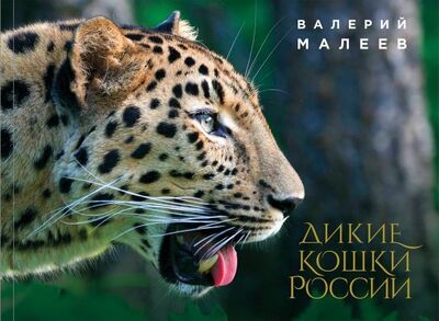 Книга: Дикие кошки России. Иллюстрированный авторский фотоальбом (Малеев Валерий) ; Эксмо, 2019 