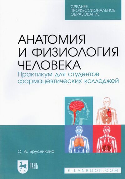 Книга: Анатомия и физиология человека. Практикум для студентов фармацевтических колледжей (Брусникина Ольга Алексеевна) ; Лань, 2021 