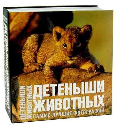 Книга: Детеныши животных. Самые лучшие фотографии (Ильдос Анджела Серена) ; АСТ, 2007 