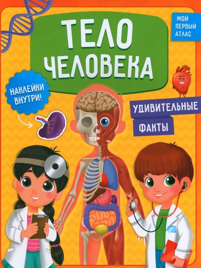 Книга: Тело человека. Мой первый атлас с наклейками. 6+ (Васильева И., Зленко Н. В.) ; Геодом, 2022 