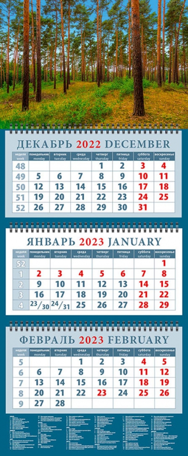 2023 Календарь В сосновом лесу День за днём 