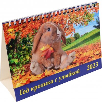 2023 Календарь Год кролика с улыбкой День за днём 