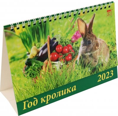 2023 Календарь Год кролика День за днём 