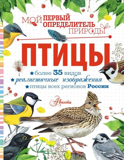 Книга: Птицы (Рахчеева Мария Витальевна) ; ООО 