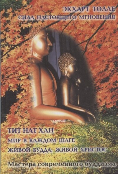 Книга: Сила настоящего мгновения. Мир в каждом шаге. Живой Будда, живой Христос (Толле Экхарт) ; Нирвана, 2002 