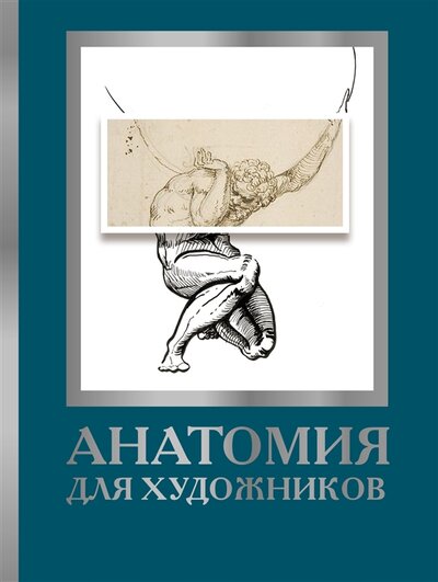 Книга: Анатомия для художников (Крауч Дженнифер) ; ИЗДАТЕЛЬСТВО 