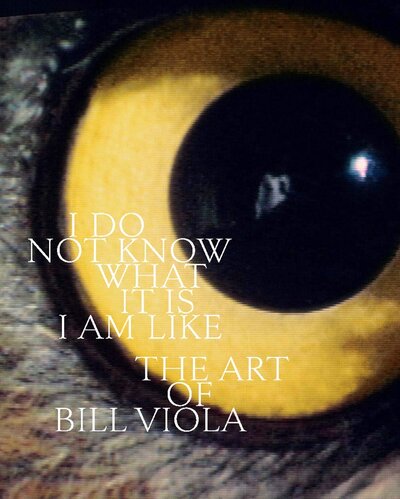 Книга: I Do Not Know What It Is I Am Like: The Art of Bill Viola; Yale University Press, 2019 