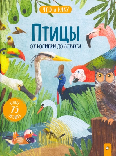 Книга: Птицы. От колибри до страуса (Маккэнн Джеки) ; Лабиринт, 2022 