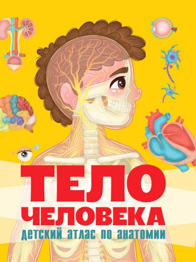 Книга: Тело человека. Детский атлас по анатомии (Грецкая Анастасия) ; Проф-Пресс, 2022 