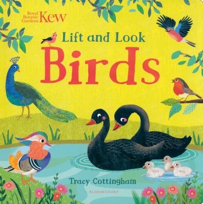 Книга: Kew. Lift and Look Birds (Cottingham Tracy) ; Bloomsbury, 2022 