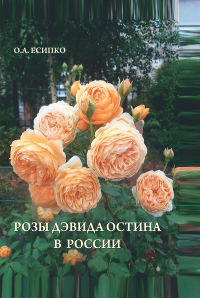 Книга: Розы Дэвида Остина в России; RUGRAM, 2022 