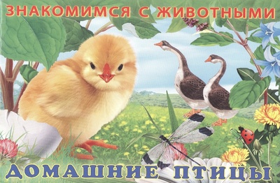 Книга: Домашние птицы (И. Гурина) ; Фламинго, 2021 