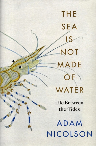 Книга: The Sea is Not Made of Water. Life Between the Tides (Nicolson Adam) ; William Collins, 2021 
