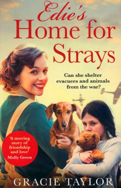 Книга: Edie’s Home for Strays (Taylor Gracie) ; Avon, 2021 