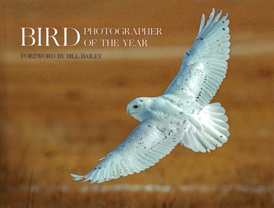 Книга: Bird Photographer of the Year; William Collins, 2021 