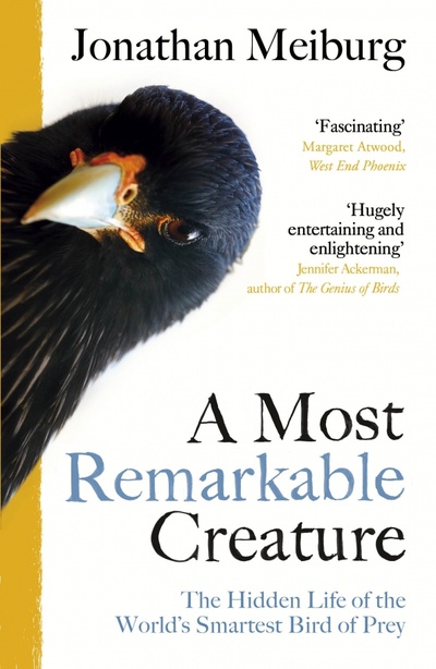Книга: A Most Remarkable Creature. The Hidden Life of the World’s Smartest Bird of Prey (Meiburg Jonathan) ; Vintage books, 2022 