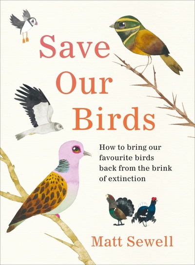 Книга: Save Our Birds. How to bring our favourite birds back from the brink of extinction (Sewell Matt) ; Ebury Press, 2021 