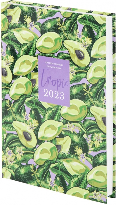 Ежедневник датированный на 2023 год Avocado, А5 STAFF 