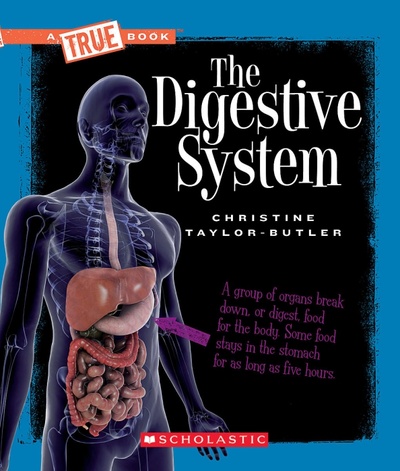 The Digestive System Scholastic Inc. 
