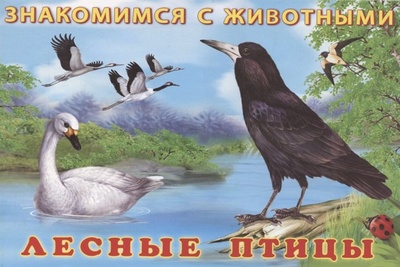 Книга: Лесные птицы (И. Гурина) ; Фламинго, 2021 