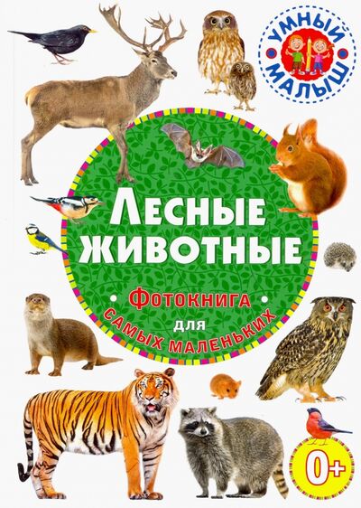 Книга: Лесные животные. Фотокнига для самых маленьких (Феданова Ю., Скиба Т., Машир Т. (ред.)) ; Владис, 2020 
