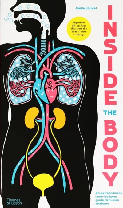 Книга: Inside the Body. An extraordinary layer-by-layer guide to human anatomy (Joivet Joelle) ; Thames&Hudson, 2022 