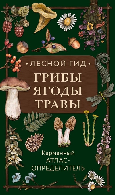 Книга: Лесной гид: грибы, ягоды, травы. Карманный атлас-определитель (Семенова Людмила Семеновна) ; ООО 