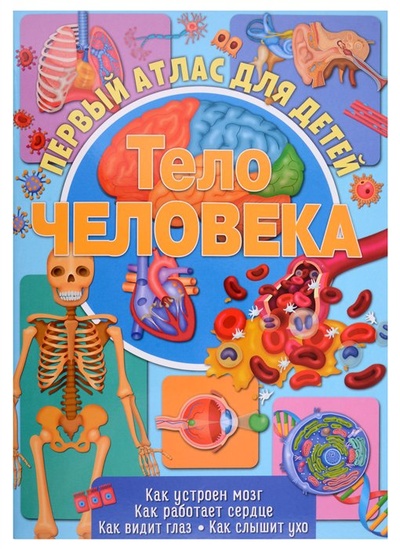 Книга: Первый атлас для детей. Тело человека (Новикова Е.) ; НД Плэй, 2022 